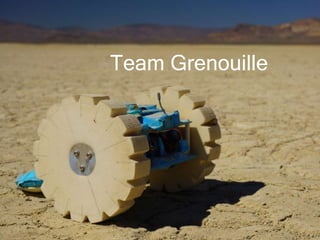 Team Grenouille
 