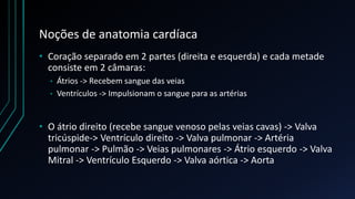 Noções de anatomia cardíaca
• Coração separado em 2 partes (direita e esquerda) e cada metade
consiste em 2 câmaras:
• Átrios -> Recebem sangue das veias
• Ventrículos -> Impulsionam o sangue para as artérias
• O átrio direito (recebe sangue venoso pelas veias cavas) -> Valva
tricúspide-> Ventrículo direito -> Valva pulmonar -> Artéria
pulmonar -> Pulmão -> Veias pulmonares -> Átrio esquerdo -> Valva
Mitral -> Ventrículo Esquerdo -> Valva aórtica -> Aorta
 