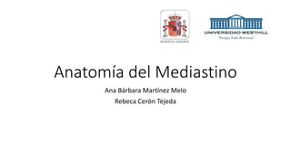 Anatomía del Mediastino
Ana Bárbara Martínez Melo
Rebeca Cerón Tejeda
 
