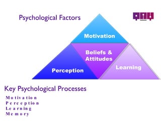 Psychological Factors Learning Beliefs & Attitudes Motivation Perception Learning Memory Key Psychological Processes Perception Motivation 