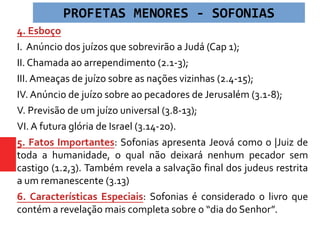 4. Esboço
I. Anúncio dos juízos que sobrevirão a Judá (Cap 1);
II. Chamada ao arrependimento (2.1-3);
III. Ameaças de juízo sobre as nações vizinhas (2.4-15);
IV. Anúncio de juízo sobre ao pecadores de Jerusalém (3.1-8);
V. Previsão de um juízo universal (3.8-13);
VI. A futura glória de Israel (3.14-20).
5. Fatos Importantes: Sofonias apresenta Jeová como o |Juiz de
toda a humanidade, o qual não deixará nenhum pecador sem
castigo (1.2,3). Também revela a salvação final dos judeus restrita
a um remanescente (3.13)
6. Características Especiais: Sofonias é considerado o livro que
contém a revelação mais completa sobre o “dia do Senhor”.
PROFETAS MENORES - SOFONIAS
 