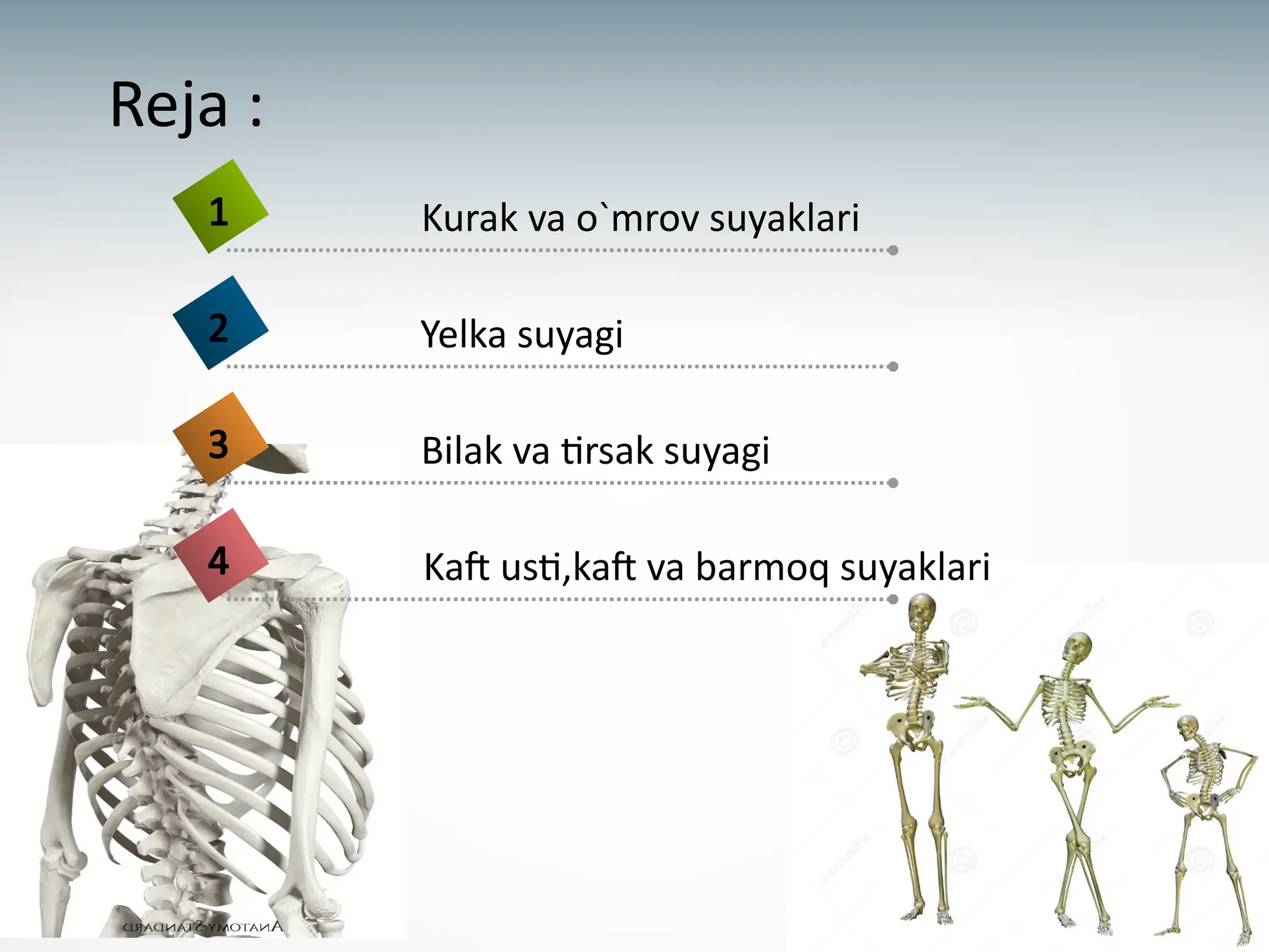 Suyaklar bilan jinsiy aloqa juda Voronina