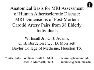 Anatomical Basis for MRI Assessment
of Human Atherosclerotic Disease:
MRI Dimensions of Post-Mortem
Carotid Artery Pairs from 38 Elderly
Individuals
W. Insull Jr., G. J. Adams,
C. B. Bordelon Jr., J. D. Morrisett
Baylor College of Medicine, Houston TX
Contact Info: William Insull Jr., M.D. winsull@bcm.tmc.edu
Joel D. Morrisett, Ph.D. morriset@bcm.tmc.edu
 