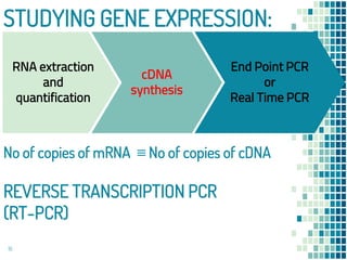 Real Time PCR | PPTX