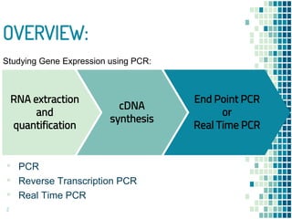 Real Time PCR | PPTX