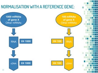 Normalise Pcr Data Real Time PCR | PPTX