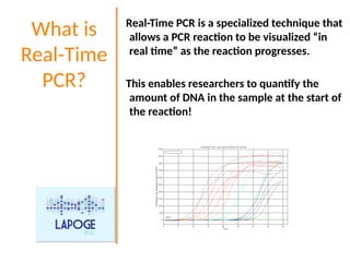 Introduction Real Time Pcr Comprehensive Guide to Real-Time Quantitative PCR Techniques and ...