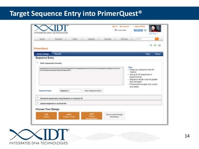 qpcr design strategies for specific