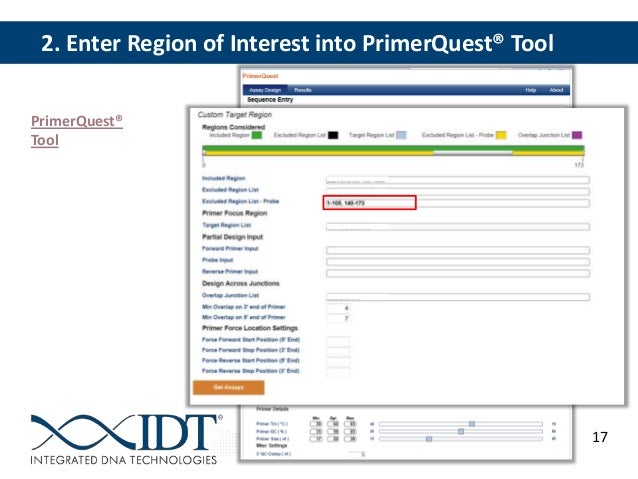 qpcr design strategies for specific