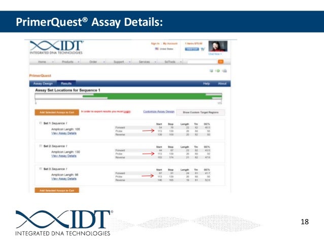 qpcr design strategies for specific