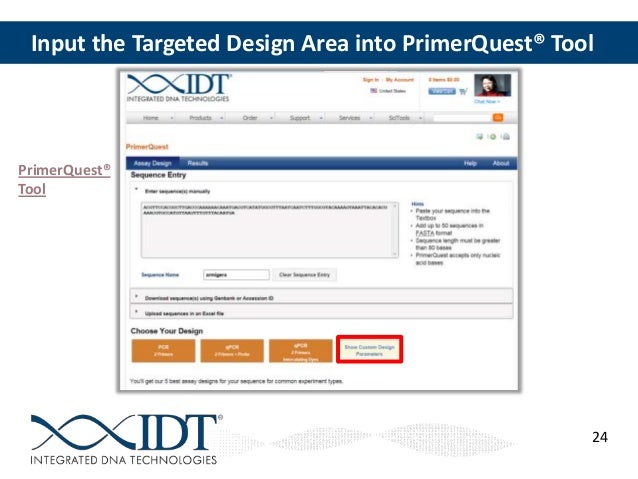 qpcr design strategies for specific