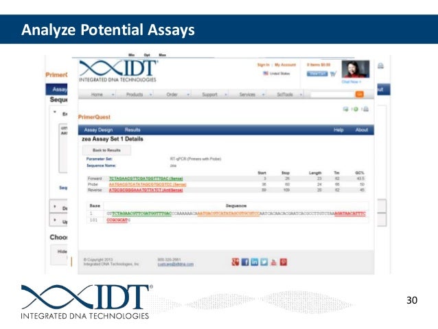 qpcr design strategies for specific