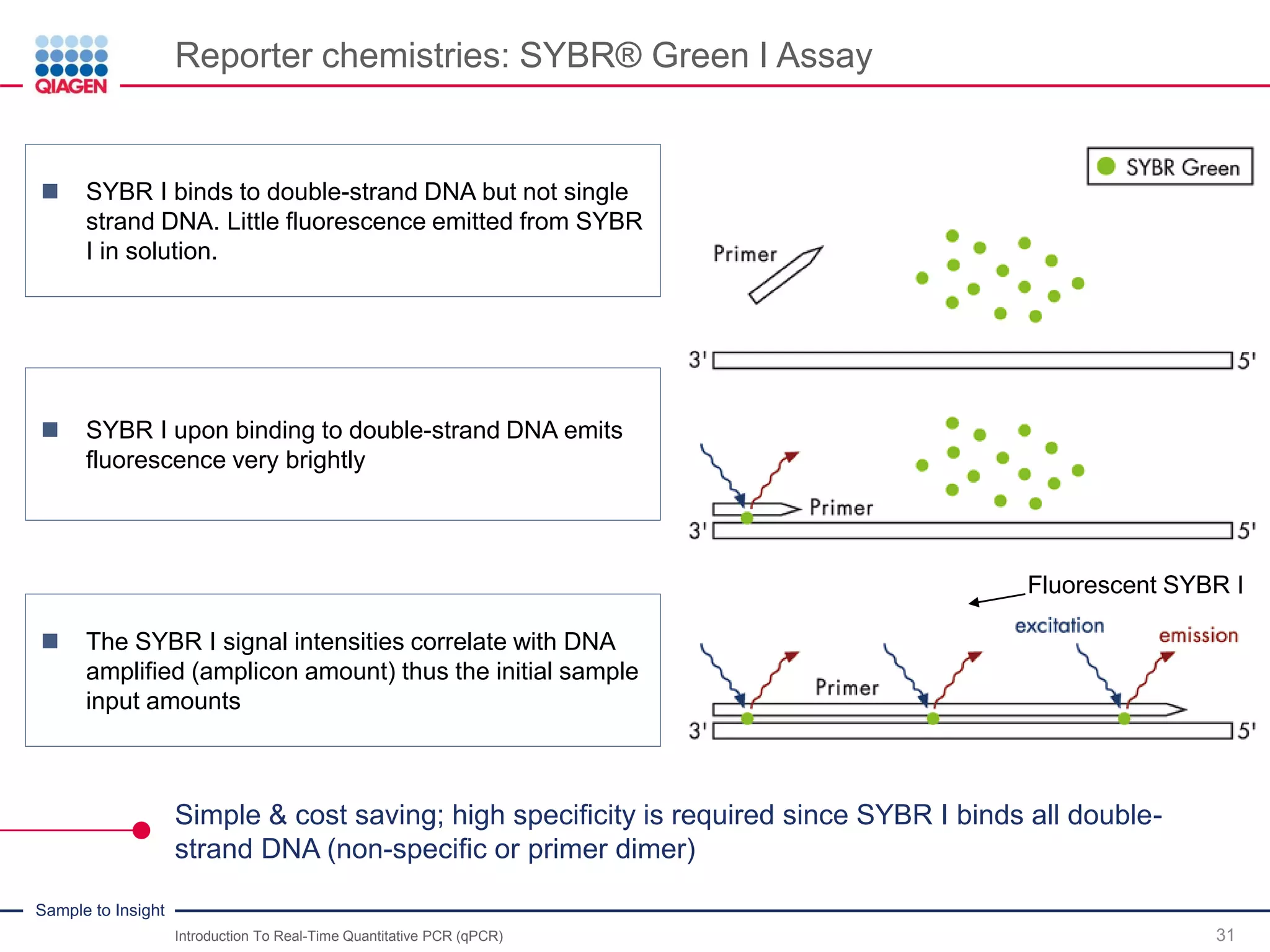 Introduction to real-Time Quantitative PCR (qPCR) - Download the slides ...