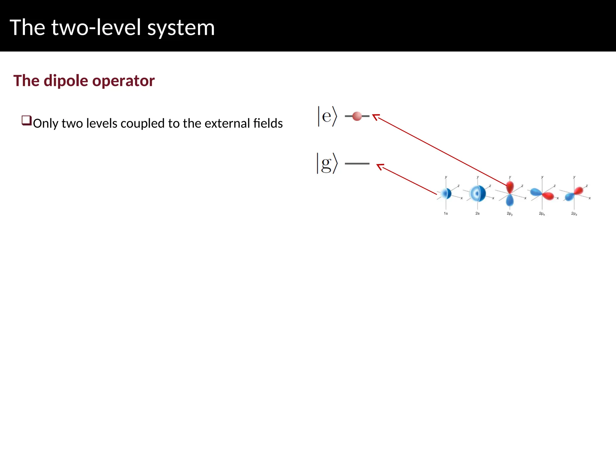 The two-level system
The dipole operator
Only two levels coupled to the external fields
 