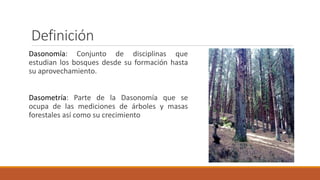 Mediciones forestales clase 1}