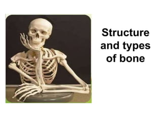 Structure
and types
of bone
 