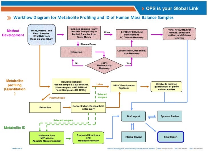 clinical workflow analysis qps preclinical and clinical radiolabel adme studies clinical workflow analysis qps preclinical and clinical radiolabel adme studies