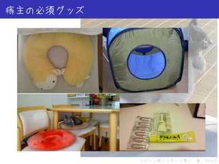 . . . . . .
痔主の必須グッズ
 