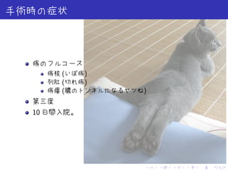 . . . . . .
手術時の症状
痔のフルコース
痔核 (いぼ痔)
列肛 (切れ痔)
痔瘻 (膿のトンネルになるヤツね)
第三度
10 日間入院。
 