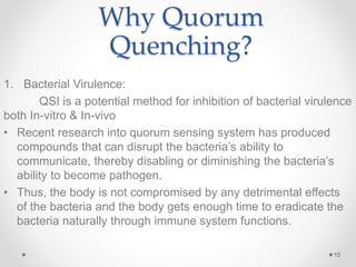 Why Quorum
Quenching?
1. Bacterial Virulence:
QSI is a potential method for inhibition of bacterial virulence
both In-vitro & In-vivo
• Recent research into quorum sensing system has produced
compounds that can disrupt the bacteria’s ability to
communicate, thereby disabling or diminishing the bacteria’s
ability to become pathogen.
• Thus, the body is not compromised by any detrimental effects
of the bacteria and the body gets enough time to eradicate the
bacteria naturally through immune system functions.
10
 