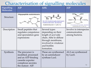 Signalling
Molecules
AIP AHL AIP
Structure
Description Small peptides that
regulates competence
and sporulation gene
expressions
Several types
depending on their
length of acyl side
chain. Able to diffuse
through membrane,
involved in virulence
and biofilm
formation.
Involve in interspecies
communication
among bacteria.
Synthesis The precursor is
modified, processed
and an ATP-binding
cassette exporter
complexes secretes
the mature AIP.
These are synthesised
by an autoinducer
synthase LuxI.
AI-2 are synthesized
by LuxS.
13
Characterisation of signalling molecules
 