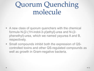 Quorum Quenching
molecule
 A new class of quorum quenchers with the chemical
formula N-[2-(1H-indol-3-yl)ethyl]-urea and N-(2-
phenethyl)-urea, which we named yayurea A and B,
respectively.
 Small compounds inhibit both the expression of QS-
controlled toxins and other QS-regulated compounds as
well as growth in Gram-negative bacteria.
15
 