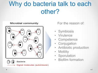 Why do bacteria talk to each
other?
7
For the reason of:
• Symbiosis
• Virulence
• Competence
• Conjugation
• Antibiotic production
• Motility
• Sporulation
• Biofilm formation
 