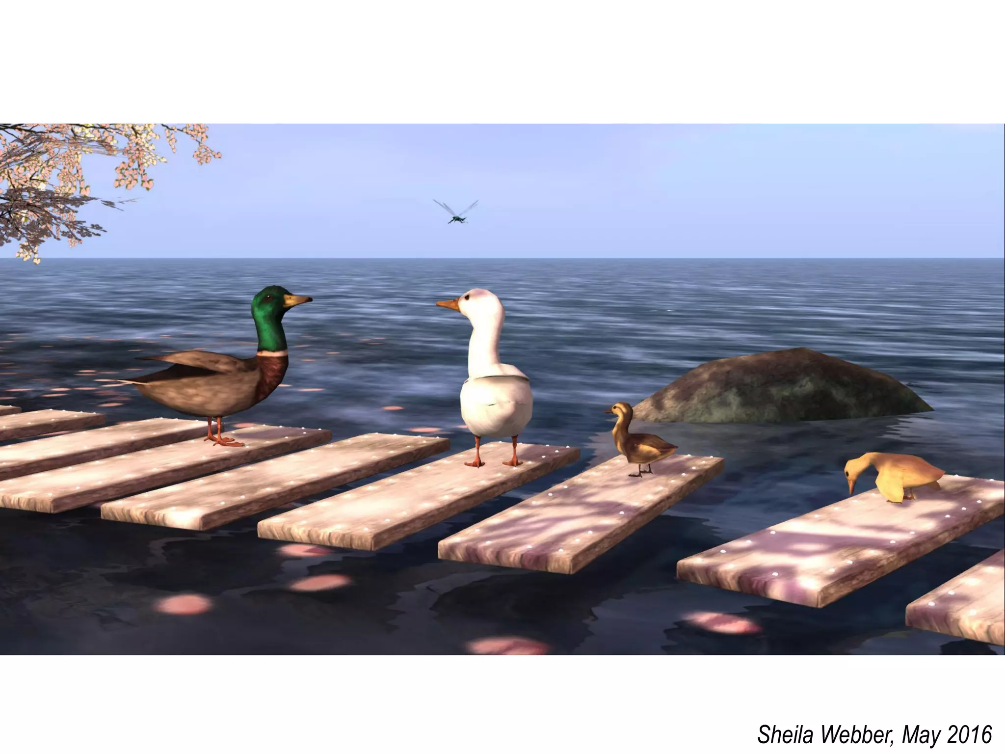 Sheila Webber, May 2016
 