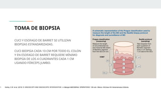 TOMA DE BIOPSIA
CUCI Y ESOFAGO DE BARRET SE UTILIZAN
BIOPSIAS ESTANDARIZADAS.
CUCI BIOPSIA CADA 10 CM POR TODO EL COLON
Y EN ESOFAGO DE BARRET REQUIERE MÍNIMO
BIOPSIA DE LOS 4 CUADRANTES CADA 1 CM
USANDO FÓRCEPS JUMBO.
1. Ashley, S.W. et al. (2019) ‘5: ENDOSCOPY AND ENDOSCOPIC INTERVENTION’, in Maingot ABDOMINAL OPERATIONS. 13th edn. México: McGraw-Hill Interamericana Editores.
 