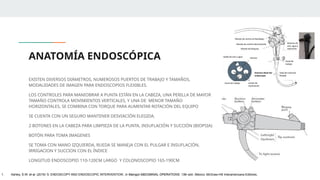 ANATOMÍA ENDOSCÓPICA
EXISTEN DIVERSOS DIÁMETROS, NUMEROSOS PUERTOS DE TRABAJO Y TAMAÑOS,
MODALIDADES DE IMAGEN PARA ENDOSCOPIOS FLEXIBLES.
LOS CONTROLES PARA MANIOBRAR A PUNTA ESTÁN EN LA CABEZA, UNA PERILLA DE MAYOR
TAMAÑO CONTROLA MOVIMIENTOS VERTICALES, Y UNA DE MENOR TAMAÑO
HORIZONTALES, SE COMBINA CON TORQUE PARA AUMENTAR ROTACIÓN DEL EQUIPO
SE CUENTA CON UN SEGURO MANTENER DESVIACIÓN ELEGIDA.
2 BOTONES EN LA CABEZA PARA LIMPIEZA DE LA PUNTA, INSUFLACIÓN Y SUCCIÓN (BIOPSIA)
BOTÓN PARA TOMA IMAGENES
SE TOMA CON MANO IZQUIERDA, RUEDA SE MANEJA CON EL PULGAR E INSUFLACIÓN,
IRRIGACION Y SUCCION CON EL ÍNDICE
LONGITUD ENDOSCOPIO 110-120CM LARGO Y COLONOSCOPIO 165-190CM
1. Ashley, S.W. et al. (2019) ‘5: ENDOSCOPY AND ENDOSCOPIC INTERVENTION’, in Maingot ABDOMINAL OPERATIONS. 13th edn. México: McGraw-Hill Interamericana Editores.
 