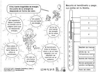 Recorta el termometro y pega
sus partes en tu libreta.
EISol,fuente inagotable de energra.
Una parte de su energf a se
desprende en forma de calor.
 I.
B
(
(
( "I
1>-:------
: __ .
·,,
'- EI carbon
- es una fuente =-
de energfa.
Losorganismos
deben combinar
la comida con el
oxfgeno para que
se desprenda
energfa.
p ••••••••••••••••••••••• __ •••••• :
.2 :.~-_._.._ _ _-----_.
r-------------------------------i
· ., .
: 3 :, ,
~------.-_._------ •• - •• _ •• _._ ••• _I
La luz es
una fuente
de energfa
de los seres
vivos
r---·--_·__··········· __··--···-i, ,, ,, ,
, :
: 4 :, ,, ,, ,
._---.---- ..__ .......•. _---_. __ ...
,,,
··,,,
··._-~--------------._--_ ...._-----
4Ji"'L ,"  EI termometro
~ '- mide la tempe-
ratura y es un tubo
delgado con un
deposito de
mercurio en el
extremo.
r------------------··-----------i
: Deposito de mercuric :, ,
: 2 :
~._-----------------._-_ ••• __ • I
r---------------------·_·-------i
: Lfmite de la :
; temperatura normal i
: 5 :. ,
1 ---_ •• _----------------_ •••
·-------------------_····-------i
: 5ubida del mercuric :
3 :~••• _._-_._--------_ ••••••••••••• I
r·······························i
: Escala graduada en :
; grados centfgrados ;
: 4 :I •••••••••••••••••••••••••••••••••
f-j~b~"de"·~id~i;--·""""i""~. .~....._---------_ .._- ..._ .._ ..._.
Bim. 3~
Sam. 19
Ficha 112
Energfa Calorifica. Calor y
temperatura
 