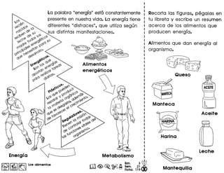 Alimentos
energeticos
Energra Metabolismo
m<@,~ ~~ :~~. 2~ wo Ficha. 119 <to~ I~ I~ Los alimentos
Recorta las figuras. pegalas en
tu Iibreta y escribe un resumen
acerca de los alimentos que
producen energfa.
Alimentos que dan energfa al
organismo.
I
tMN1EC~
Manteca
L
t7
Harina
Mantequilla
 