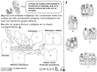 La base de nuestra nacionalidad la
constituye el mestizaje, que es la
mezcla cultural del indio con el
europeo.
()5)
~
~-• •
Algu"rlas"·~~~unidades indfgenas han conservado hasta hoy
modos de vida sumamente antiguos, comunidades alas
que hoy Ilamamos grupos etnicos.
Recorta los grupos etnicos y pegalos en la silueta
correspondiente. 1
,,'-- .....,
" ...-..· ,',' ',I II •
, ", ,
, "
, ., ., ., .. ,
: 5 ,..
. ,....• .,,
, ., ., ,
· ,· .', ."' ,...-.•....•-.•_..'
"', ....",
.,.....". .......•' "'~ /.•.......,
: ~ ~ ~, .
, ',
, ', ,
'''', :
: 1 :, '. ,
. ., ,
, ', ,
" ', "'.........•--, ,..... " ..-:. ....,'
Mixtecos' Zapotecos
~ ~ 1~llOS grupos etnicos
Totonaca~...,/··
..•-....• , ,/ ..., ~
'. '
,/ ~t ,
t •
: 4 :. ,. ,, ,
".. :. ,
: "J ,- ••• '
~ ;•.._---', ..... ....'
,"....•.•,
.',. ' :' :," ..........•" ,
, . ... ",,: } 
: 
t 3 ~
· ,· ..: •... ,,'
• • I •
• I I I
'" I I •
... : " "I , I '"
•.. ..,-......•............' _-' ....•".._-,.
,." ..,
,--.. , 
:' "". ,,--- ...,~' ....•" .. ,.
I '" •
," "'v '
. ., ,, ,
, '
 2 :, ,
, ., ,, ,,, .· ......•- '...•... __•..........•., ,.
Tzetzal- Tzotzil
Chamulas Lacandones
Bim. 3~
m~~ ~9 Sem, 22 •
o 0 Ficha. 132
........t ,
. ., I
,,' '
:' /,
·····,
I
,
'.,
.' _-,- -
....•,....-..,
.....··.,,,
I
...
·,
··t
, , .-.' ••••• , •••••••• , •• __ # ••• - •••. '
 