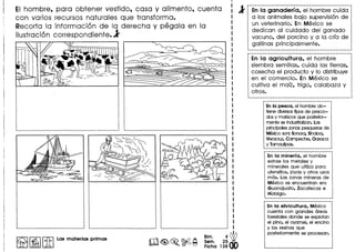 EI hombre, para obtener vestido, casa y alimento, cuenta
con varios recursos naturales que transforma.
Recorta la informacion de la derecha y pegala en la
ilustraci6n correspondiente.l
~ I~ I[i]Las materias primas
Bim. 4
dbSam. 25
Ficha 138
4L •...•.•.•••••••••••••••••••••••••.•••••.•••••.•.........
A En la ganaderr a, el hombre cuida
a los animales bajo supervision de
un veterinario. En Mexico se
dedican al cuidado del ganado
vacuno, del porcino y a la crra de
. gallinas principal mente.
,
--------_._----------_._---------------------------~---
En la agricultura, el hombre
siembra semillas, cuida las tierras,
cosecha el producto y 10 distribuye
en el comercio. En Mexico se
cultiva el marz, trigo, calabaza y
otros.
------------------------------------,
: En la pesca, el hombre ob-
: ffene diversosffpos de pesca-
: dos y martscosque postertor-
mente sa industrtalizan.Las
prtncipaleszonas pesquerasde
Mexico son: Sonora,Sinaloa, :
Veracruz,Campeche, oaxaca :
y Tamaulipas.
En la minerfa, el hombre :
extrae los metales y
minerales que utiliza para ,
utensilios, joyas y otros usos :
mas. Las zonas mineras de :
Mexico se encuentran en: :
Guanajuato, Zacatecas e
Hidalgo.
En la silvicultura, Mexico :
cuenta con gran des areas :
forestales donde se explotan :
el pino, el oyamel, el encino :
y las resinas que :
posteriormente se procesan. :
.,,,,
.._--- .•........... __ ._...._-----_ ...
 