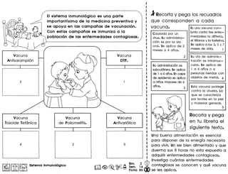 EIsistema inmunol6gico es una parte
importantrsima de la medicina preventiva y
se apoya en las campanas de vacunaci6n.
Con est as campanas se inmuniza a la
poblaci6n de las enfermedades contagiosas.
Vacuna
Antisarampi6n
Vacuna
DTP.
Vacuna
Toxoide Tetanica
Vacuna
de Poliomelitis.
Vacuna
Antivari6lica
1Recorta y pega los recuadros
que corresponden a cada
vacuna. Es una vacuna con-
junta contra tres enfer-
medades: 10 difteria,
el tetanos y 10 tosferina.
Se aplica a los 3, S Y 7
meses de vida. 1
Causada por un
virus. Su administra-
ci6n es por 10 via
oral. Se aplica de 2
meses a 4 anos.
Su administraci6n es
subcut6nea. Se aplica
de 1 a 4 ones. Encasas
de epidemia se aplica
a ninos mayores de 6
anos.
Su via de adminis-
traci6n es intramus-
cular. Se aplica de
1 a 4 anos 0 a
personas heridas con
objetos de metal. 4
Una buena alimentaci6n es esencial
para disponer de 10 energra necesaria
para vivir. Un ser bien allmentado y que
duerma sus 8 horas no esta expuesto a
adqulrlr enfermedades contagiosas.
............................ Investlga cuantas enfermedades
Bim. 2 db t I 'ill<@> ~ ~ ~ Sem. 14 con ag OS?S se conocen y que vacuna
• 0 Fiche 85 se les apllca.
Esta vacuna protege
contra 10 viruela. La
que se caracteriza
por brotes en 10 piel
y malestar general.
S
Recorta y pega
en tu Iibreta el
siguiente texto.
 