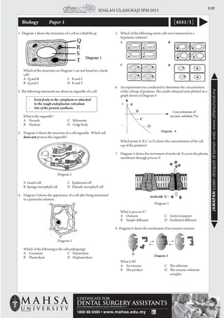119SOALAN ULANGKAJI SPM 2013
JAWAPANbolehdidapatidilamanwebwww.afterschool.my
Biology 	 Paper 1 [4551/1]
1. Diagram 1 shows the structures of a cell in a Hydrilla sp.
	 Which of the structures on Diagram 1 are not found in a cheek
cell?
	 A Q and R	 C R and S
	 B Q and S	 D R and T
2. The following statements are about an organelle of a cell.
-	 Exist freely in the cytoplasm or attached
		 to the rough endoplasmic reticulum
-	 Site of the protein synthesis.
	 What is the organelle?
	 A	 Vacuole	 C	Ribosome
	 B	 Nucleus	 D	 Golgi body
3. 	 Diagram 2 shows the structure of a cell organelle. Which cell
does not possess this organelle?
Diagram 2
	 A Guard cell C Epidermal cell
	 B Spongy mesophyll cell	 D Palisade mesophyll cell
4. 	 Diagram 3 shows the appearance of a cell after being immersed
in a particular solution.
Diagram 3
	 Which of the following is the cell undergoing?
	 A	 Crenation	 C	Haemolysis
	 B	 Plasmolysis	 D	Deplasmolysis
5. 	 Which of the following onion cells were immersed in a
hypotonic solution?
6.	 An experiment was conducted to determine the concentration
of the cell sap of potatoes. The results obtained were plotted on a
graph shown in Diagram 4.
	 Which point A, B, C or D, shows the concentration of the cell
sap of the potatoes?
7. 	 Diagram 5 shows the movement of molecule X across the plasma
membrane through process Y.
Diagram 5
	 What is process Y?
	 A	 Osmosis	 C	 Active transport
	 B	 Simple diffusion	 D	 Facilitated diffusion
8. Diagram 6 shows the mechanism of an enzyme reaction.
	 What is M?
	 A	 An enzyme	 C	 The substrate
	 B	 The product 	 D	 The enzyme-substrate 	
				complex
 