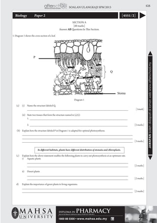 125SOALAN ULANGKAJI SPM 2013
JAWAPANbolehdidapatidilamanwebwww.afterschool.my
Biology 	 Paper 2 [4551/2]
SECTION A
[60 marks]
Answer All Questions In This Section.
1. Diagram 1 shows the cross section of a leaf.
Diagram 1
	 (a)	 (i)	 Name the structure labeled Q.
			 _______________________________________________________________	[1mark]
		 (ii) 	 State two tissues that form the structure named in (a)(i).
			 1. _____________________________________________________________
			 2. _____________________________________________________________	 [2 marks]
	 (b) 	 Explain how the structure labeled P in Diagram 1 is adapted for optimal photosynthesis.
		 _____________________________________________________________________
		 _____________________________________________________________________ 		
		 _____________________________________________________________________	 [3 marks]
	
	
In different habitats, plants have different distribution of stomata and chloroplasts.
	 (c) 	 Explain how the above statement enables the following plants to carry out photosynthesis at an optimum rate.
		 i)	 Aquatic plants
			 _______________________________________________________________ 			
		_______________________________________________________________	 [2 marks]
		 ii)	 Desert plants
			 _______________________________________________________________
			 _______________________________________________________________	 [2 marks]
	 d) 	 Explain the importance of green plants to living organisms.		
		 _____________________________________________________________________ 			
	 _____________________________________________________________________	 [2 marks]
 