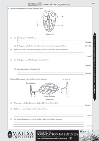 127SOALAN ULANGKAJI SPM 2013
JAWAPANbolehdidapatidilamanwebwww.afterschool.my
3. 	 Diagram 3.1 shows a section through the human heart.
	
Diagram 3.1
	 (a) 	 (i) 	 Name the parts labelled P and S.
			 P : _______________________________________________________________
			 S : _______________________________________________________________	 [2 marks]
		 (ii) 	 In Diagram 3.1, shade the cavity of the ventricle which contains oxygenated blood.	 [1 mark]		
		
	 (b) 	 Explain why the wall around the chamber Q is much thicker than that around chamber R?
		 _____________________________________________________________________
		 _____________________________________________________________________ 		
		 _____________________________________________________________________		[2 marks]
							
(c) 	 (i) 	 In Diagram 3.1, label the bicuspid valve with letter T.
		 					
					 	
			 [1 mark]
							
	 (ii) 	 Explain the function of bicuspid valve.
			 __________________________________________________________________ 		
		__________________________________________________________________	 [1 mark]
	 Diagram 3.2 shows a part of the circulatory system in human.
Diagram 3.2
	 d) 	 What happen to the blood pressure as the blood flows from W towards X?
		 _____________________________________________________________________ 	 [1mark]	
	 e) 	 Explain how muscles at X prevent the backflow of blood.
		 _____________________________________________________________________
		 _____________________________________________________________________ 		
		 _____________________________________________________________________		[2 marks]
	 f) 	 Our normal blood pressure is 120/80 mmHg. Explain what the figure represents.	
		 _____________________________________________________________________
		 _____________________________________________________________________ 		
		 _____________________________________________________________________		[2 marks]
P
QR
S
From the heart
Blood capillaries
To the heart
W
X
 