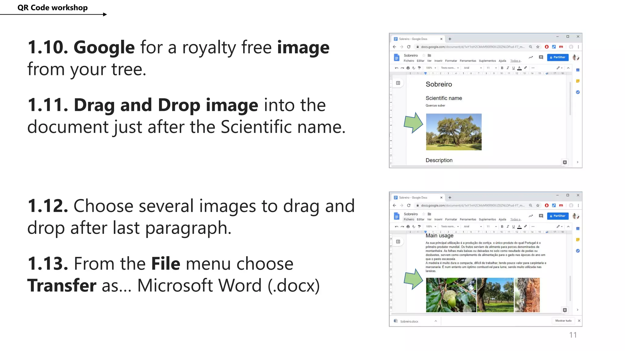 QR Code workshop
11
1.10. Google for a royalty free image
from your tree.
1.11. Drag and Drop image into the
document just after the Scientific name.
1.12. Choose several images to drag and
drop after last paragraph.
1.13. From the File menu choose
Transfer as… Microsoft Word (.docx)
 