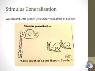 Stimulus Generalization
Watson and Little Albert: Little Albert was afraid of bunnies!
 