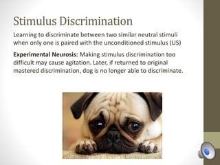 Stimulus Discrimination
Learning to discriminate between two similar neutral stimuli
when only one is paired with the unconditioned stimulus (US)
Experimental Neurosis: Making stimulus discrimination too
difficult may cause agitation. Later, if returned to original
mastered discrimination, dog is no longer able to discriminate.
 