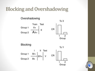 Blocking and Overshadowing
 
