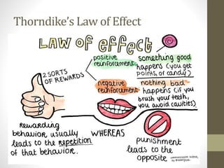 Thorndike’s Law of Effect
 