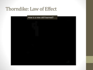 Thorndike: Law of Effect
How is a new skill learned?
 