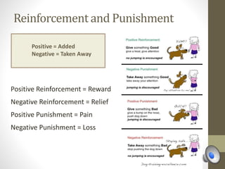 Reinforcement and Punishment
Positive Reinforcement = Reward
Negative Reinforcement = Relief
Positive Punishment = Pain
Negative Punishment = Loss
Positive = Added
Negative = Taken Away
 