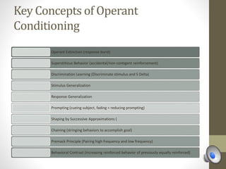 Key Concepts of Operant
Conditioning
Operant Extinction (response burst)
Superstitious Behavior (accidental/non-contigent reinforcement)
Discrimination Learning (Discriminate stimulus and S Delta)
Stimulus Generalization
Response Generalization
Prompting (cueing subject, fading = reducing prompting)
Shaping by Successive Approximations (
Chaining (stringing behaviors to accomplish goal)
Premack Principle (Pairing high frequency and low frequency)
Behavioral Contrast (increasing reinforced behavior of previously equally reinforced)
 