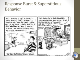 Response Burst & Superstitious
Behavior
 
