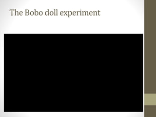 The Bobo doll experiment
 