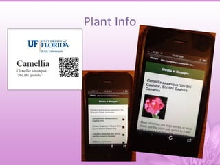Plant Info
 