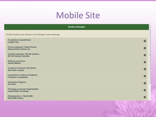Mobile Site
 